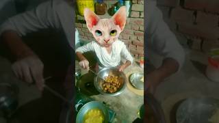 🐱🤣🥰Mewo jis dole😋 sole😍😸😛🐱😄💥😺😜🤣🥰cut funny tranding shortsvideo [upl. by Ybrik750]