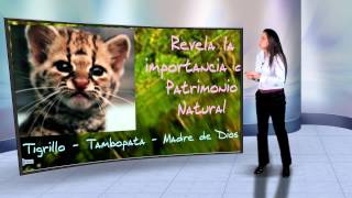 Cátedra Perú Ambiental  Valoración económica de servicios ecosistémicos [upl. by Eimac317]