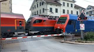 Bahnübergang Wädenswil CH  Swiss Railroad Crossing [upl. by Jennifer]