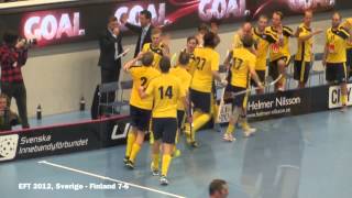 Sverige vs Finland 76 Euro Floorball Tour 2012 [upl. by Hershel40]