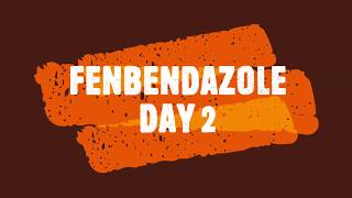 Fenbendazole Day 2 of Week 1 an experiment by a noncancer person [upl. by Ameehsat]