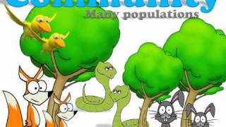 Ecology Introduction [upl. by Alaham44]