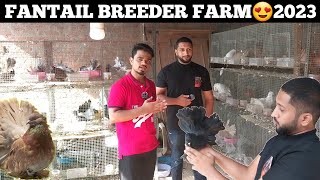 Biggest Fantail Pigeons Breeding Farm🤩  100 Pairs Fantail For Sale by ShaikMoidQuraishi [upl. by Nur]