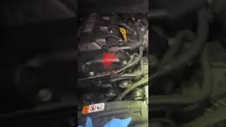 Cat Stuck Inside Car’s Engine Bay mechanic cat engine animalcontrol animals [upl. by Devland]