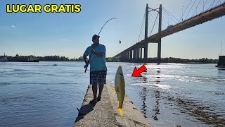 PESCÓN ABAJO DEL PUENTE DEL RÍO PARANA GUAZU Primera pesca del año [upl. by Halbeib]