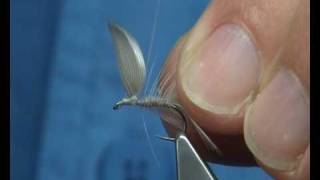 Tying a Blue Dun Dry Fly by Davie McPhail [upl. by Crissy]