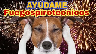 Asi puedes ayudar para que a tu perro NO le afecte la Pirotecnia 🎉🎇🎆🧨 [upl. by Itaws68]