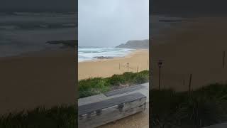 Newcastle beaches NSW Australia beach ocean nature [upl. by Holloway]