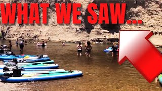 Arizonas COOLEST Activity Salt River Tubing HIGHLIGHTS 2022 [upl. by Aenej]