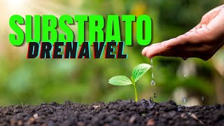 🌴🌷 Como fazer substrato drenável [upl. by Sinnaoi208]