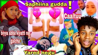 🛑 Salphina gudda biyya abba kiyyatti na galchaNew Oromo Music Seifu on EBS [upl. by Viquelia]