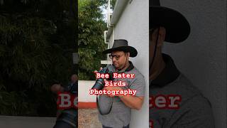 Bee Eater Birds Photography 📸 Nikon Coolpix budget camera birds photography relaxing music [upl. by Coffeng]