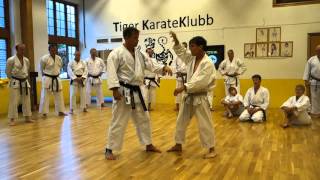 Rick Hotton Sensei Demonstrating Otoshi Uke [upl. by Lemon367]