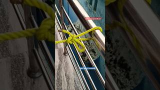 Viral trailer hitch knot [upl. by Adrea606]