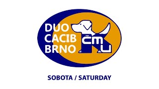 DUO CACIB BRNO 2024  Saturday [upl. by Amalbergas]