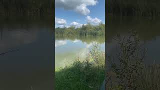 Hazel court fishery cowbridge fishing carpy carpfish carps fish carp carpbasics outdoors [upl. by Bevash]