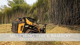 Removing Thick Bamboo [upl. by Nosneb454]