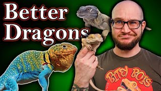 You DO NOT Want A Bearded Dragon 5 BETTER Bearded Dragon Alternatives [upl. by Nnairek]