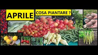 Cosa piantare ad APRILE nellOrto nel Frutteto e in Casa  Tutorial Agricoltura [upl. by Mariana]