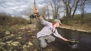 Mitchell River Fly Fishing  Part 2 [upl. by Ymassej]