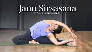 Janu Sirsasana  Parivrtta Janu Sirsasana Benefits  Yoga For Beginners  VentunoYoga [upl. by Yrrol426]