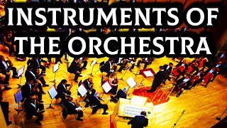 Instruments of the Orchestra [upl. by Malissia]