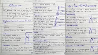 Chromosomes Structure of Chromosomes Types of Chromosomes in hindi [upl. by Wendell]