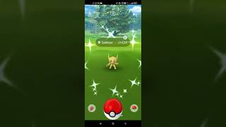 SHINY SABLEYE in the wild in Pokemon GO  Dia de Muertos event [upl. by Romain]