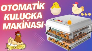 120lik Tam Otomatik Kuluçka Makinası Kurulum ve Tanıtımı [upl. by Sigfrid830]