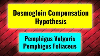 Desmoglein compensation hypothesis in Pemphigus Autoimmune bullous diseases part 4 [upl. by Inasah810]