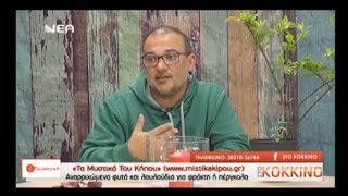 Αναρριχώμενα Φυτά και Λουλούδια  Ο Κώστας Λιονουδάκης στη quotΝέα Τηλεόρασηquot [upl. by Krebs]