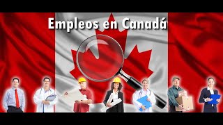 10 ofertas de empleo para julio de 2024 en Canadá [upl. by Tremml]