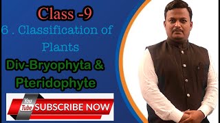 Class9Classification of plants DivBryophyta amp Pteridophyta [upl. by Mart]