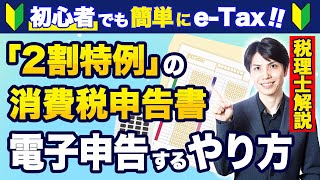 【2024年最新版】2割特例の消費税申告書をeTaxで電子申告するやり方を税理士がわかりやすく解説【確定申告個人事業主 [upl. by Ddot68]