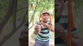 Bird sounds 🐧🐦entertainment birdssinging birdsounds singingbirds birds jitendra animalsounds [upl. by Rao]