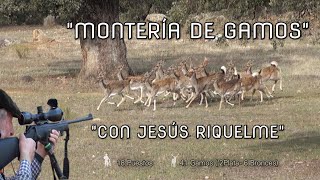 quot MONTERÍA DE GAMOS CON JESUS RIQUELME quot [upl. by Euton]