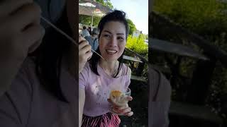 Mùa Hè phần 3 part 3 Ở tại Tegeler See TP Berlinnước Đức đến đây rất đẹp 🏡🧁🍰🎂🍷🍹💐 [upl. by Anahsirk128]