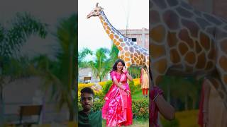 Dustu kokil 🥰 trending viralvideos shortsfeed dance love song funny minivlog bollywood [upl. by Yanehs31]