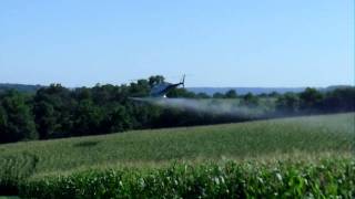 Fungicide Application with Helicopter [upl. by Marlane]