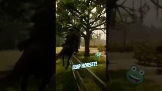 RD2 Horse Tripping Over Fence [upl. by Ken]