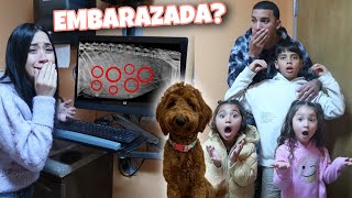 NUESTRA PERRITA ESTA EMBARAZADA  Le hacemos un ultrasonido de perros 😱 y lo que salió [upl. by Idissak]