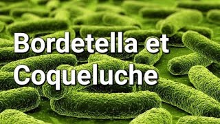 BORDETELLA ET COQUELUCHE [upl. by Burris]