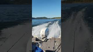 Throwing down on Cave Run Lake muskie [upl. by Brookhouse]