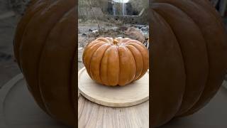 Pumpkin Dessert in a Tin  Tenekede Kabak Tatlısı [upl. by Ggerg555]