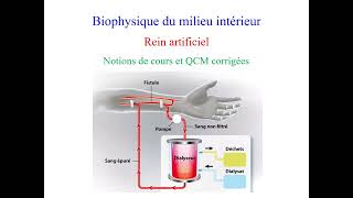 Rein artificiel notions de cours et exercices corrigés [upl. by Atiluj]