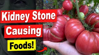 17 Foods That Turn Into Kidney Stones Stop Eating These Kidney Stone Causing Foods [upl. by Joell575]