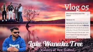 I found the most instragrammable tree in Wanaka Lake New Zealand VLOG 05 Trailer [upl. by Madelena]