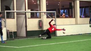 Goalkeeper Training Helge Payer TWS 2013 [upl. by Halyhs203]