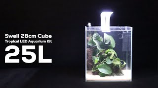 EASY Fish Tank SetUp Guide for Beginners Swell 28cm Cube Tropical LED Aquarium Kit 25L [upl. by Egide]