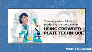 Screening of antibiotics producing microorganisms using “Crowded plate technique “ [upl. by Kolva]